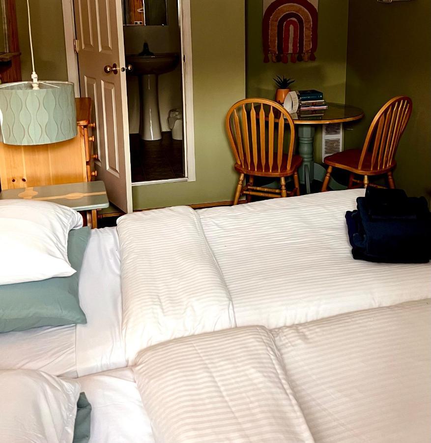 The Messy Owl Inn & Eco Haven Likely ภายนอก รูปภาพ